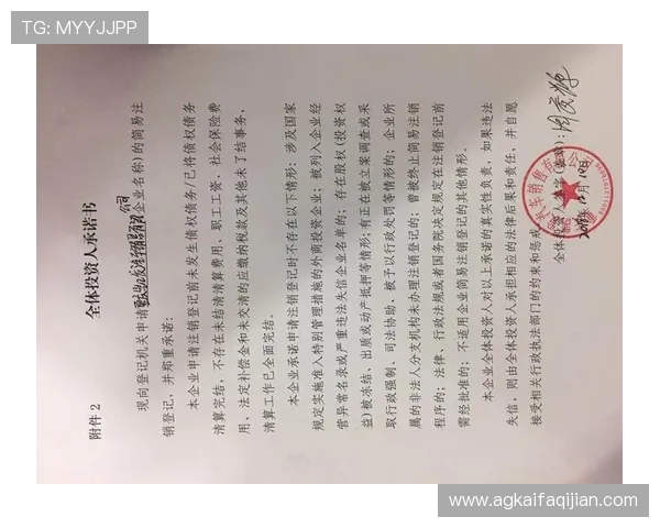 凯发集团登录网址无法访问的原因及详细解决方案推荐